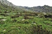66 Sguardo indietro al ripido valloncello fiorito, salito e disceso